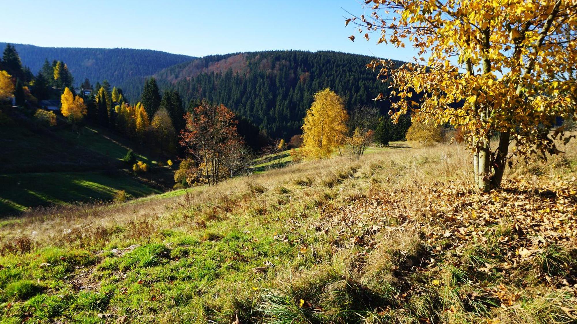 Hotel Beck Lauscha Exteriör bild