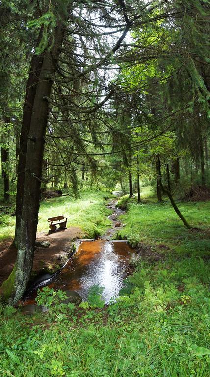 Hotel Beck Lauscha Exteriör bild