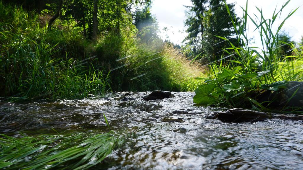 Hotel Beck Lauscha Exteriör bild