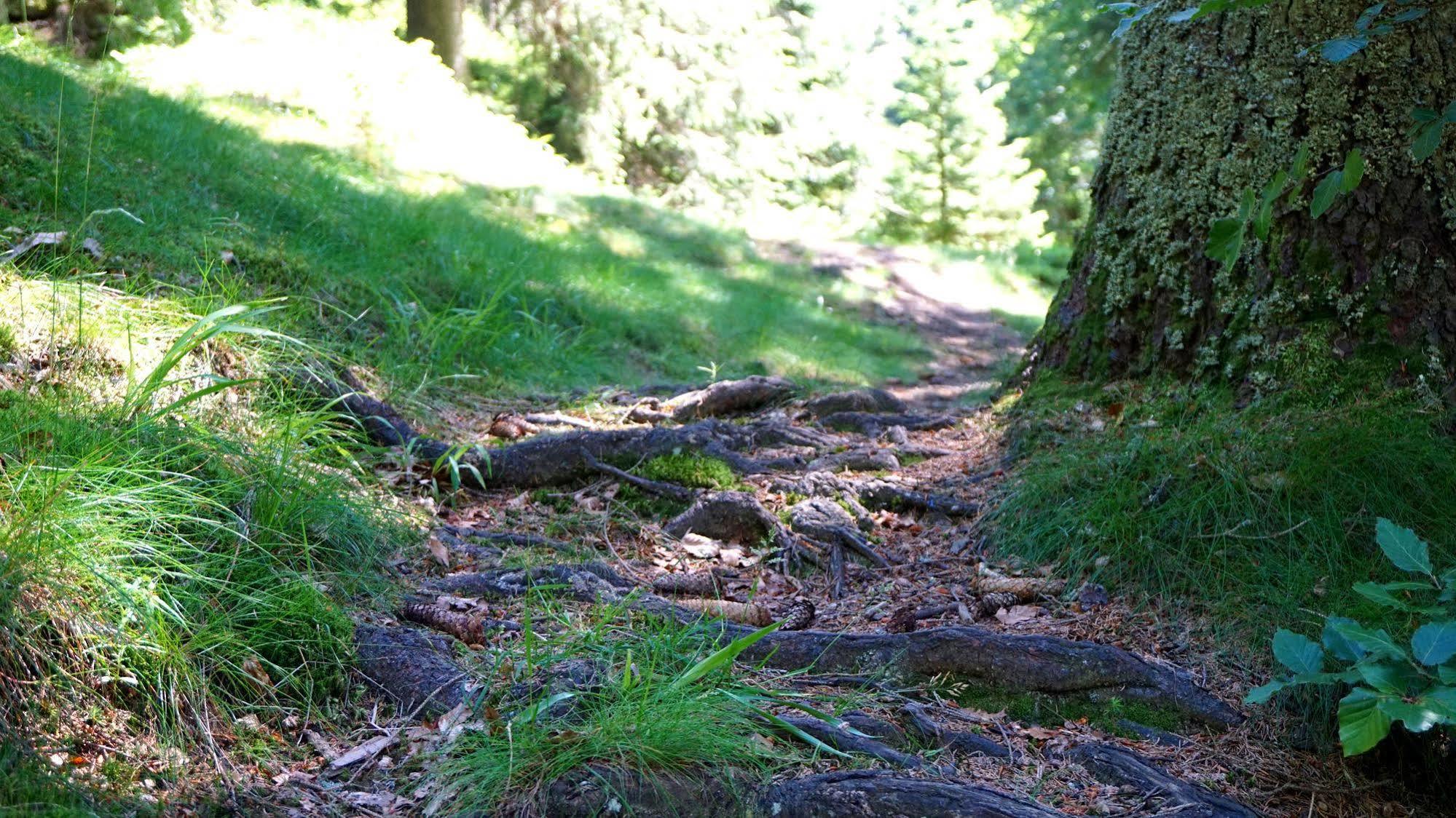 Hotel Beck Lauscha Exteriör bild